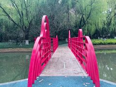 -华东师范大学第二附属中学(张江校区)