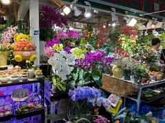 -吴山花鸟城-停车场