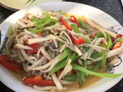 素炒杂菌-海韵人家.海景花园经典云南菜(双廊店)