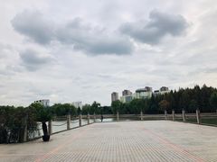 -国家会展中心
