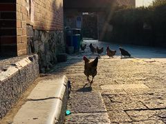 -上甘棠村