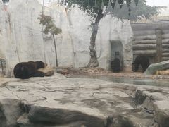 -灵玲国际马戏城