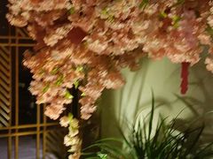 -合和大唐(江夏纸坊店)