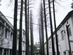 -东信·和创园