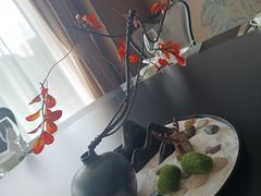 -一品粤珍轩(吴中路店)