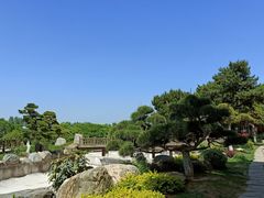 -中国唐苑