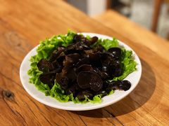 野生木耳-十六蒲(桂林路店)