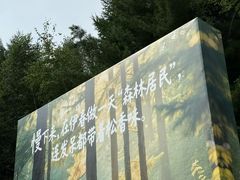 -汤旺河林海奇石景区