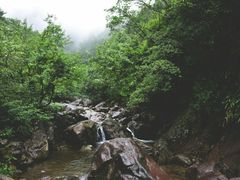 -湖州龙王山景区
