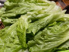 什菜-侠成水上农庄(工业大道店)