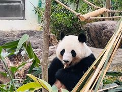 -南宁市动物园