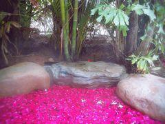 -厦门日月谷温泉渡假村