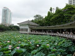 景点-荔湾湖公园