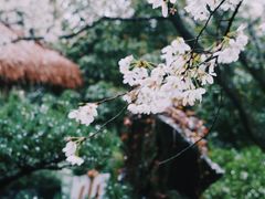 -中国茶叶博物馆(双峰馆区)