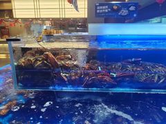 -同庆楼(天鹅酒家店)
