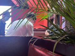 -洞子口重庆鲜货火锅(楚翘城旗舰店)