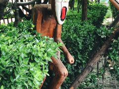-呀路古热带植物园