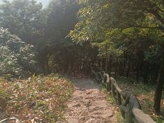 -梧桐山风景名胜区