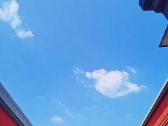 -T28PARK公园里