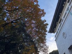 -东京国立博物馆