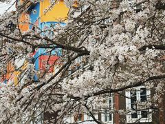 -四川省成都市彭州市白鹿镇