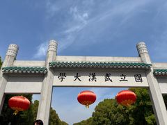 -武汉大学-樱园