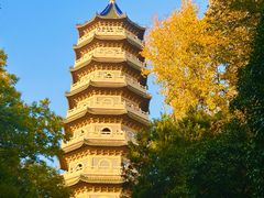 -灵谷景区