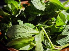 -阿山卓·野生菌火锅·纳西火塘烤肉