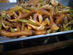 -云中小雅