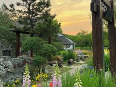 -上海共青森林公园