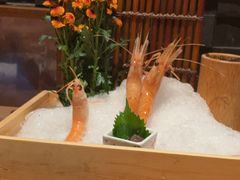 -水濑·日料放题(天河店)