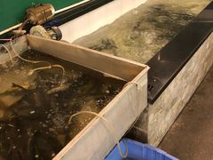 -鱼窝棚柴火铁锅炖(富山屯店)