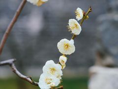 -北京明城墙遗址公园
