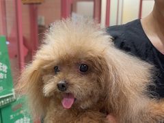 -FAELING PETS美天灵宠物(合生汇店)