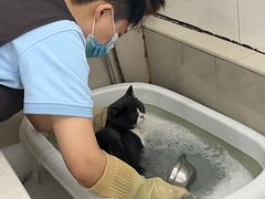 -艾贝尔宠物医院 ·内科全科(梁溪路店)