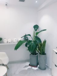 -紫御国际抗衰ZOE ANTI AGING