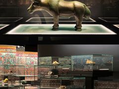 -青海藏文化博物院