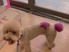 -樱桃家的宠物店(君安花园店)