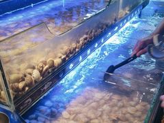 -星伦多自助料理(宝山龙湖天街店)