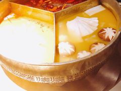 台式麻辣花胶鸡鸳鸯锅-湊湊火锅·茶憩(世博大道店)