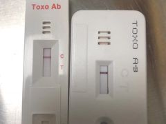 -特一安24小时宠物医院·骨科·中兽医