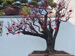 -龙华寺