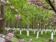 -渭河城市绿地运动公园