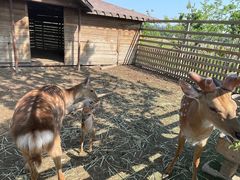 -安德鲁户外烧烤帐篷营地(马泉营店)