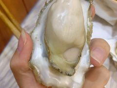 -爱蚝屋