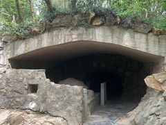 -上海佘山国家森林公园天马山园