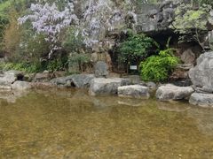 -上海吴淞炮台湾国家湿地公园