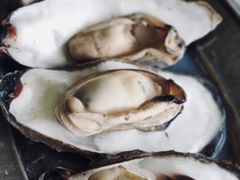 -南沙十九涌渔人码头-南门