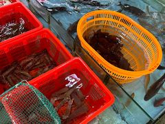 -隆都四季香饭店(碧海路店)