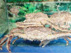 -小贝壳酒楼(经九路店)